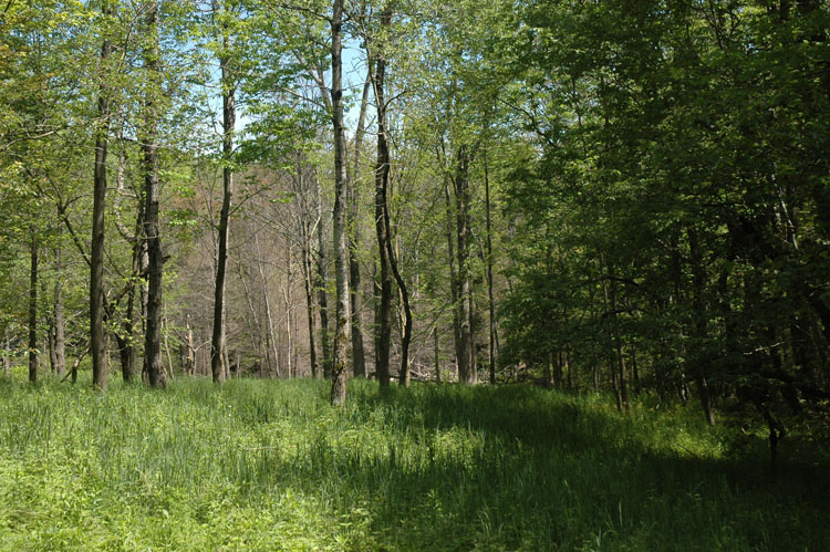 DSC_1784